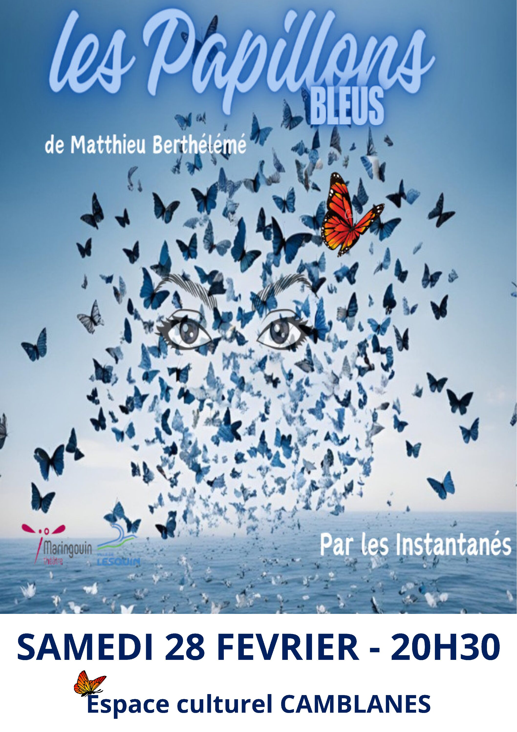 LES PAPILLONS BLEUS